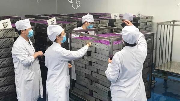 体育平台app线上官方