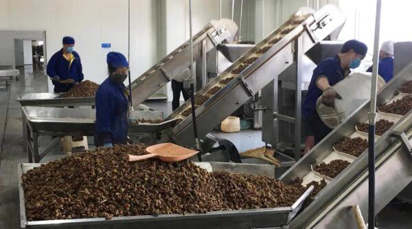 体育平台app线上官方