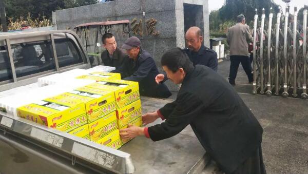 体育平台app线上官方