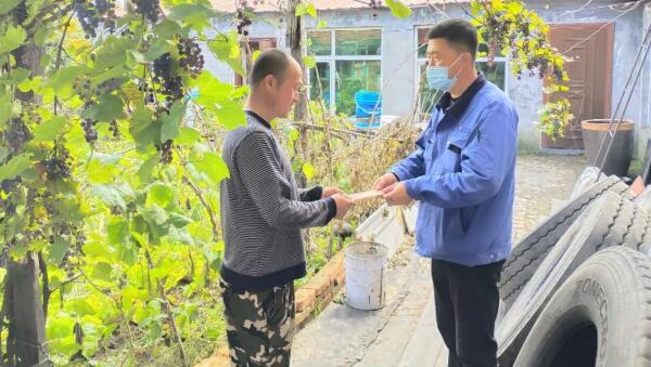 体育平台app线上官方