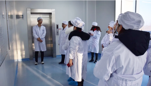 体育平台app线上官方