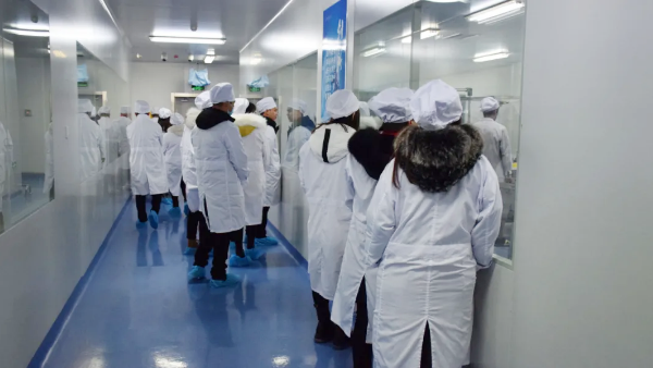 体育平台app线上官方