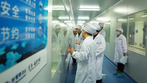 体育平台app线上官方