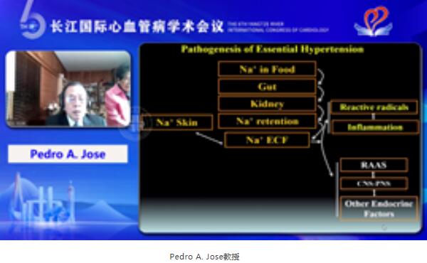 体育平台app线上官方