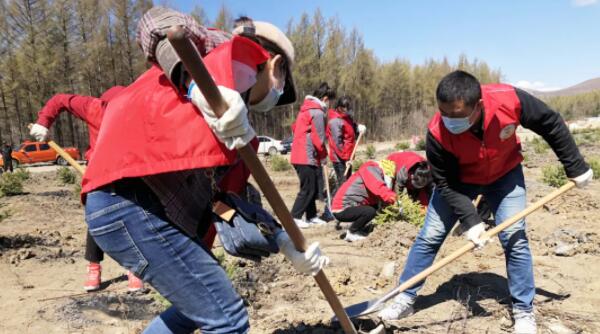 体育平台app线上官方