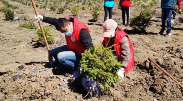 体育平台app线上官方