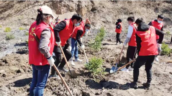 体育平台app线上官方