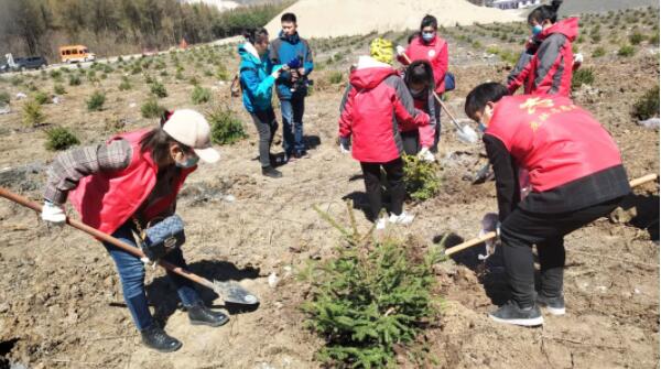 体育平台app线上官方