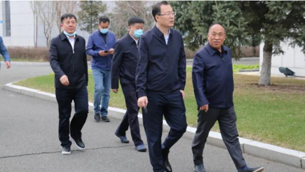 体育平台app线上官方