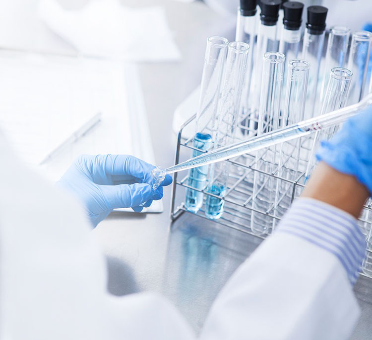 体育平台app线上官方