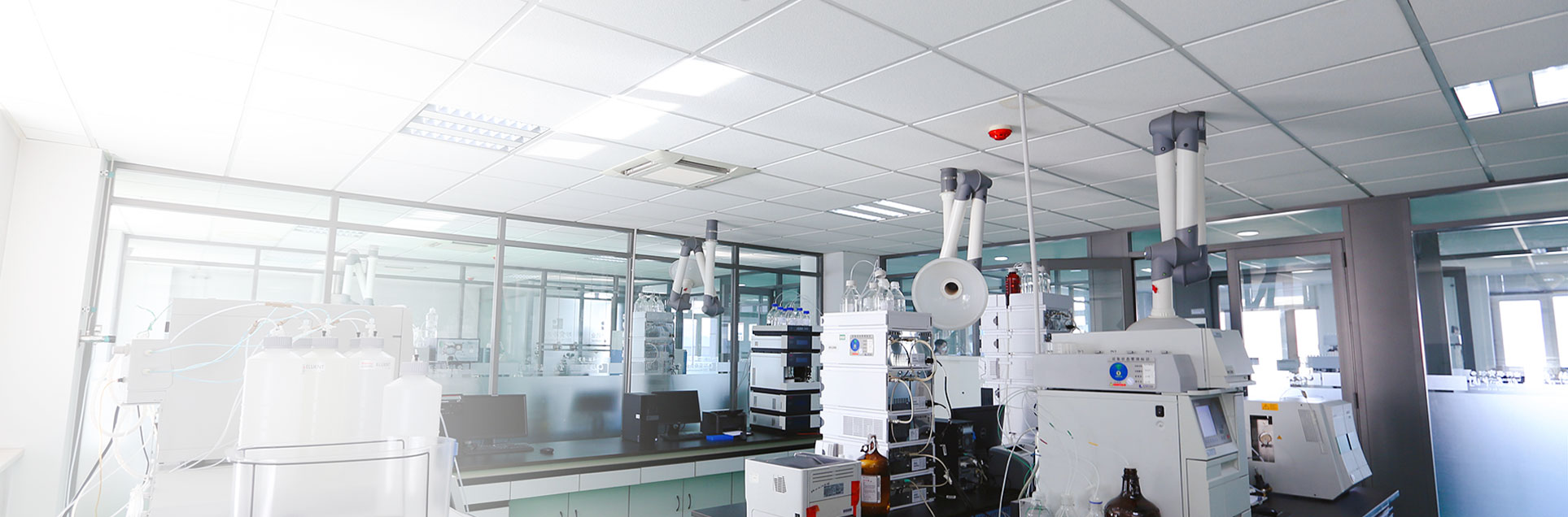 体育平台app线上官方