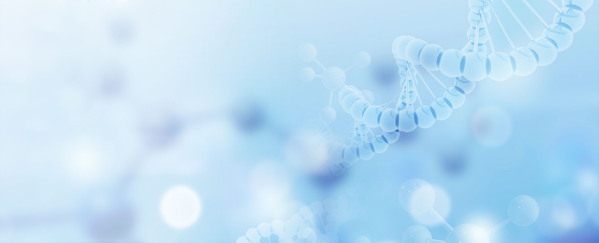 体育平台app线上官方