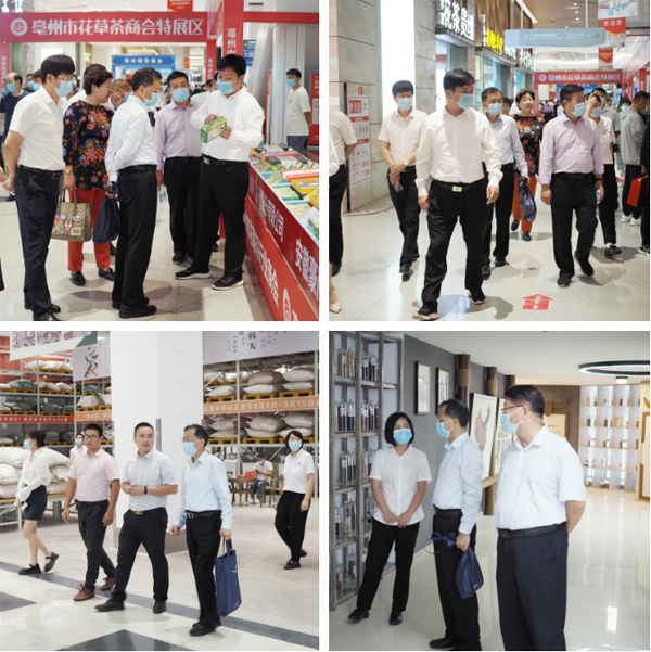 体育平台app线上官方