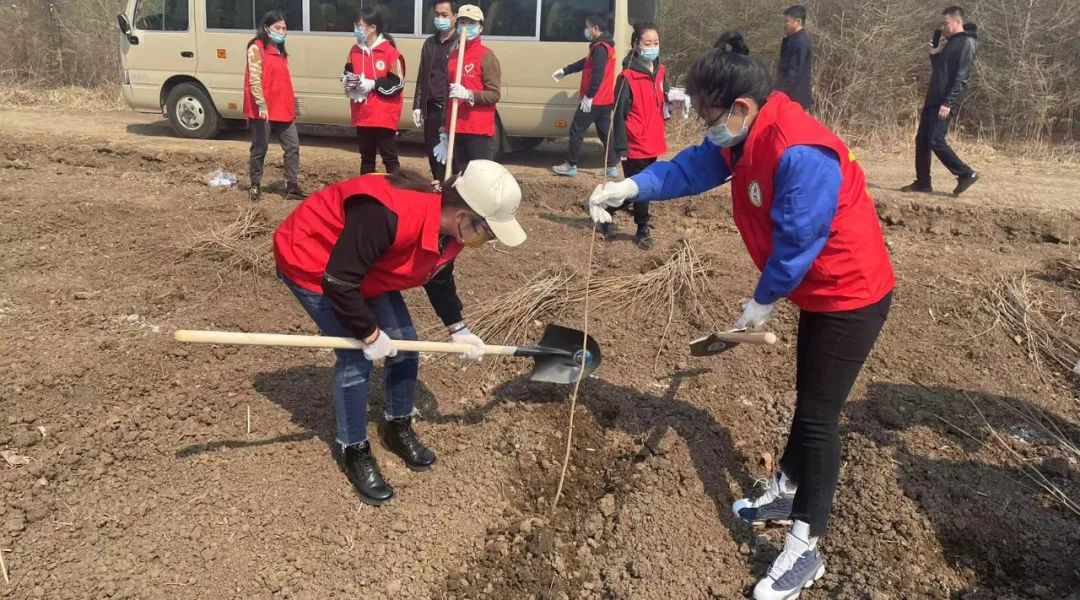 体育平台app线上官方