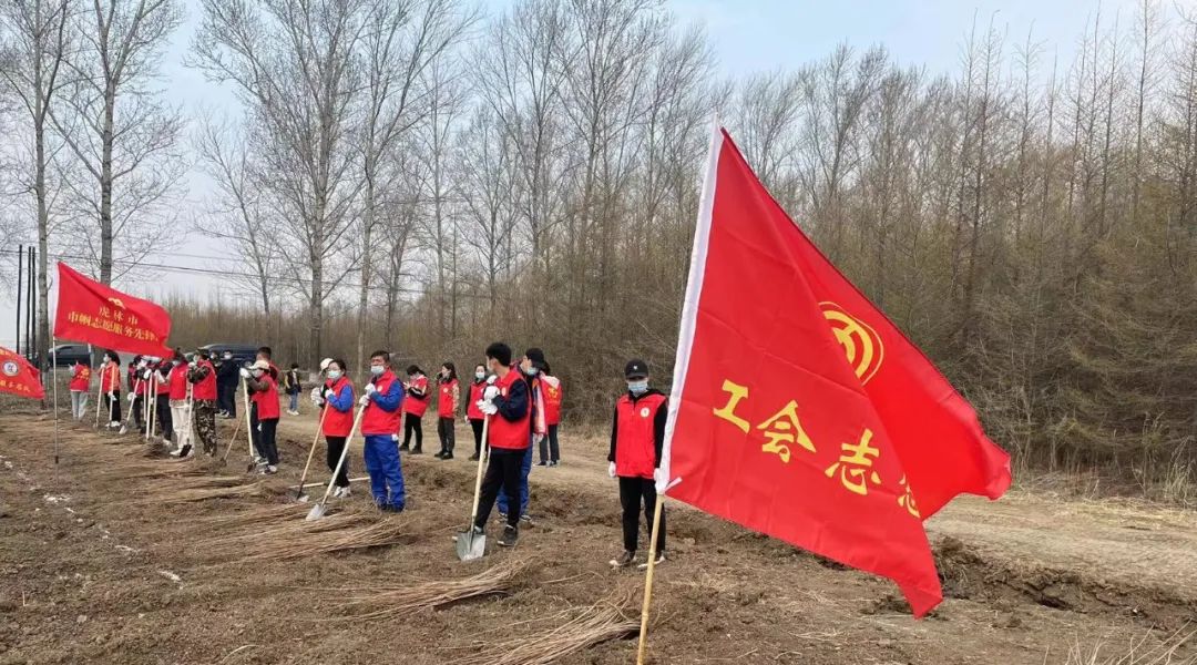 体育平台app线上官方