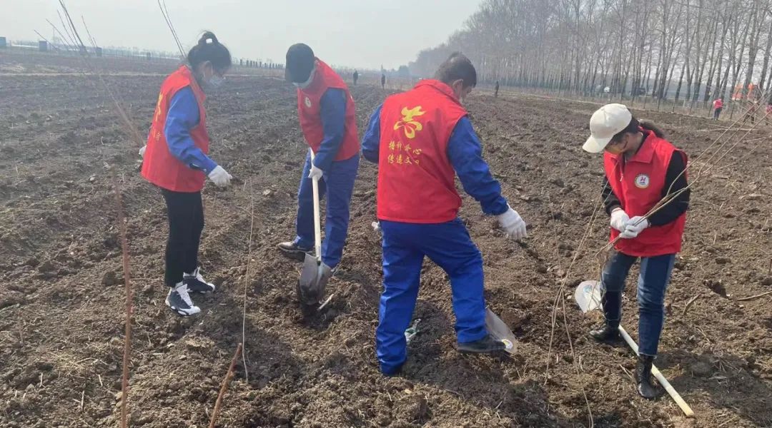 体育平台app线上官方