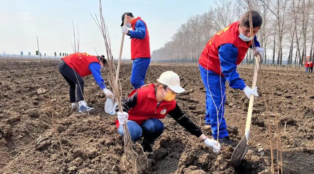 体育平台app线上官方