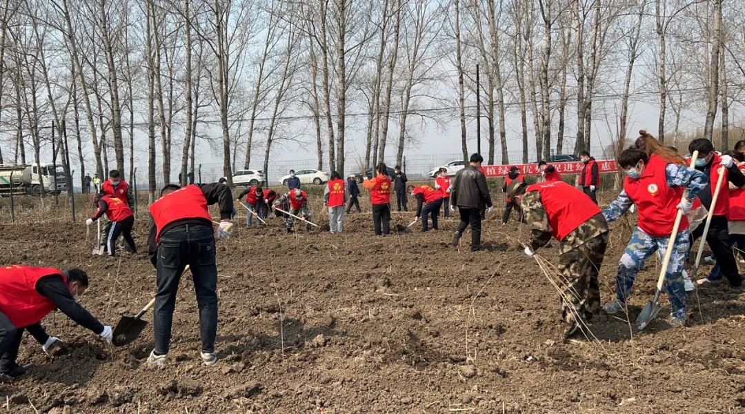 体育平台app线上官方