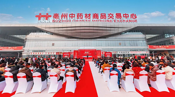 体育平台app线上官方