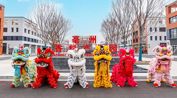 体育平台app线上官方