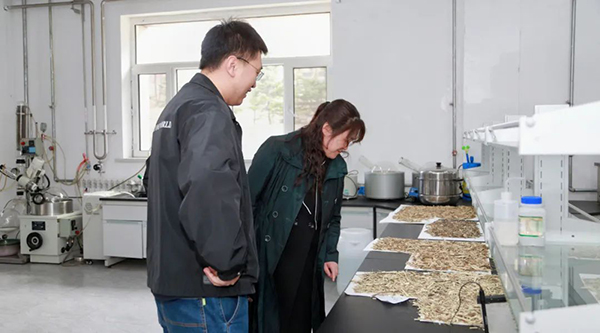 体育平台app线上官方