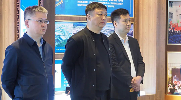 体育平台app线上官方