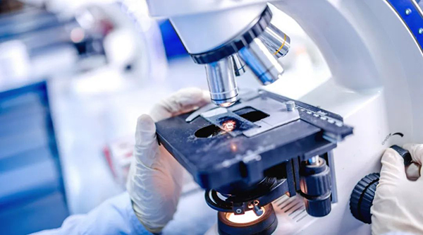 体育平台app线上官方