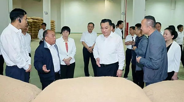 体育平台app线上官方