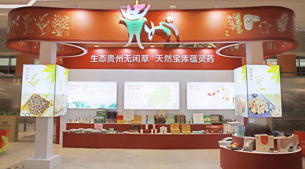 体育平台app线上官方