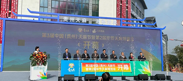 体育平台app线上官方