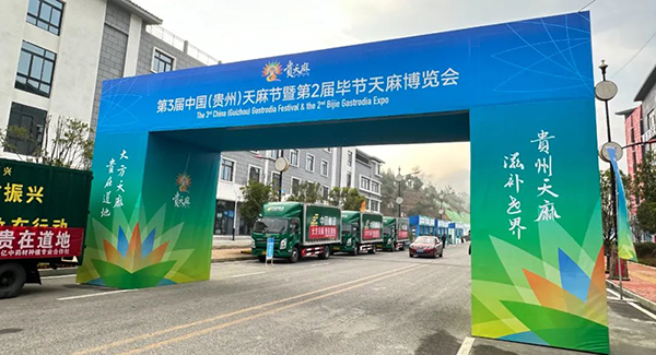 体育平台app线上官方