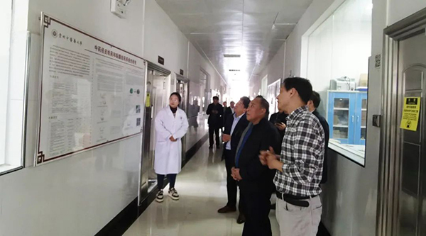 体育平台app线上官方