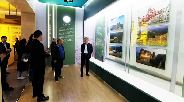 体育平台app线上官方