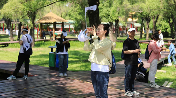 体育平台app线上官方