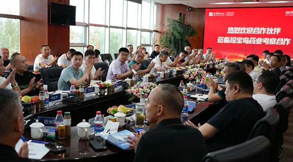 体育平台app线上官方