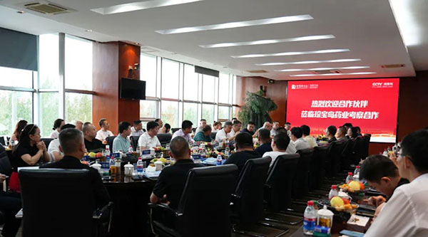 体育平台app线上官方