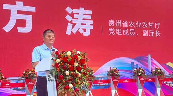 体育平台app线上官方