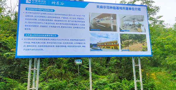 体育平台app线上官方