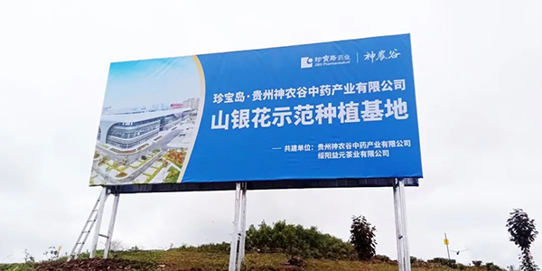 体育平台app线上官方