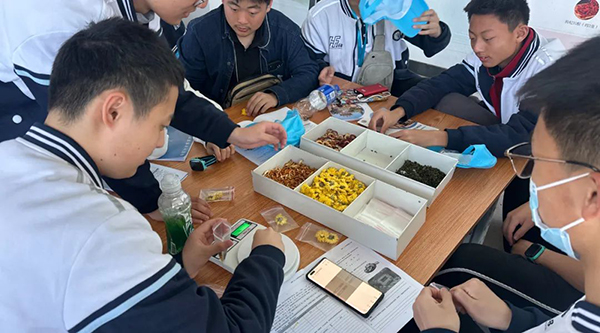 体育平台app线上官方