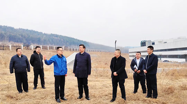 体育平台app线上官方