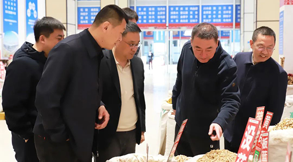 体育平台app线上官方