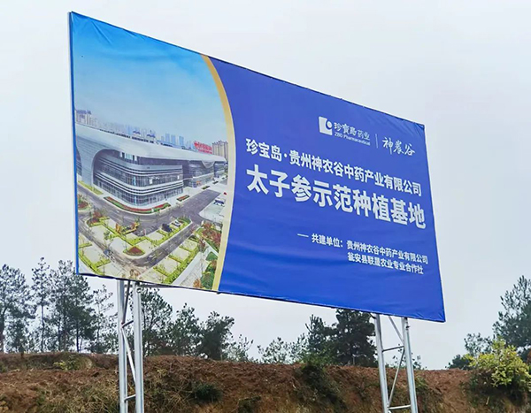 体育平台app线上官方