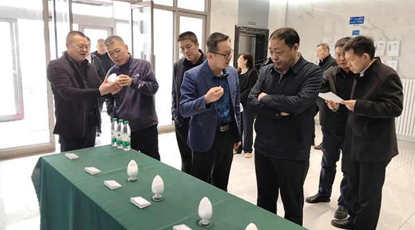 体育平台app线上官方