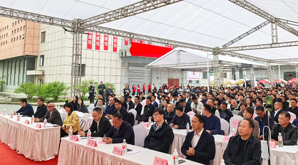 体育平台app线上官方