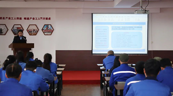 体育平台app线上官方