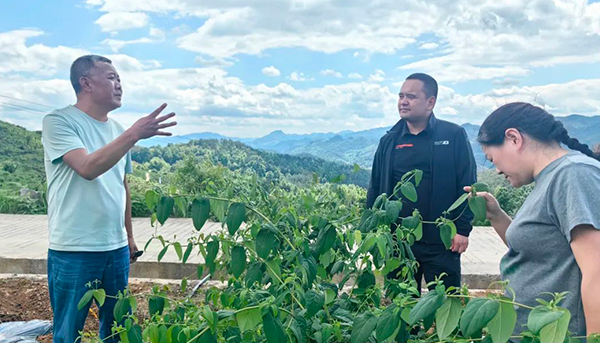 体育平台app线上官方