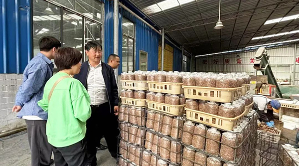 体育平台app线上官方