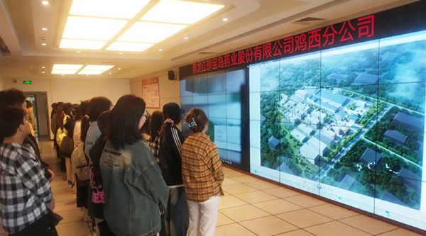 体育平台app线上官方