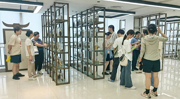 体育平台app线上官方